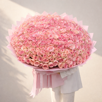 300 light pink roses bouquet