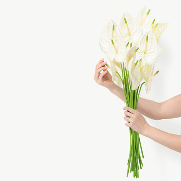 DUBAIROSES.AE