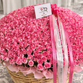close up photo of 1000 Pink Roses in Basket