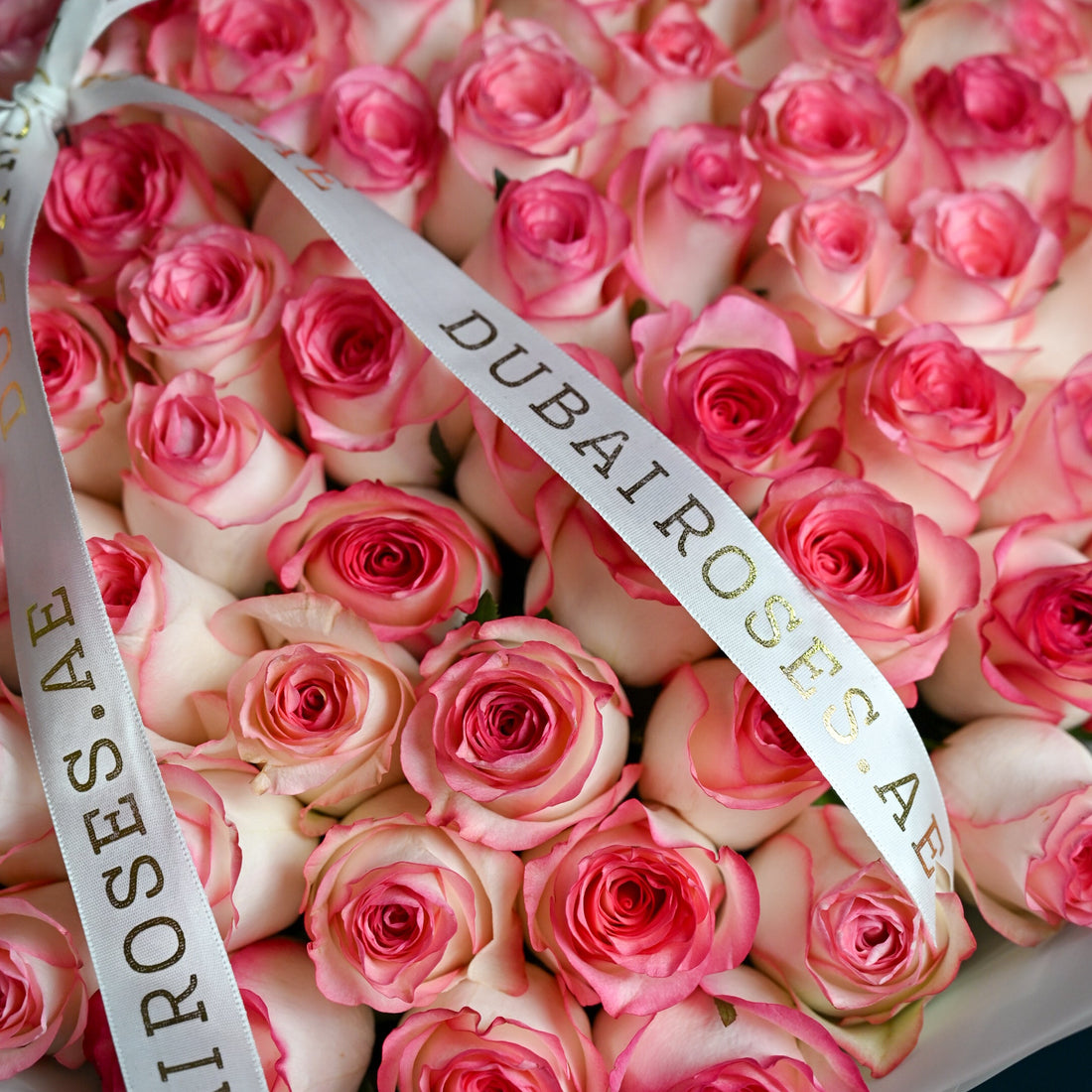 100 magic pink roses