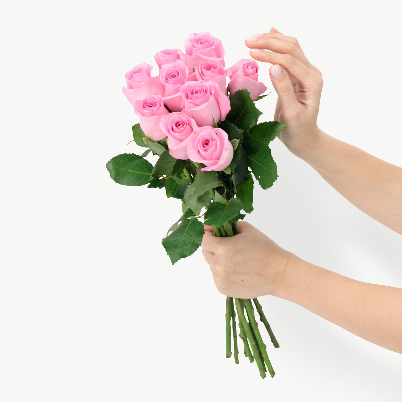 dubairoses