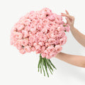 Fresh julietta pink garden roses floral stems