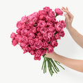 Fresh fuchsia julietta cerise garden roses floral stems