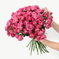 Fresh fuchsia julietta cerise garden roses floral stems