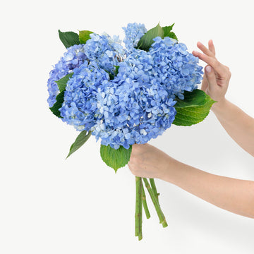 DUBAIROSES.AE