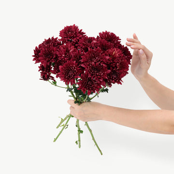 DUBAIROSES.AE