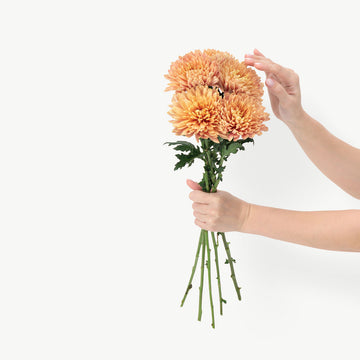 DUBAIROSES.AE
