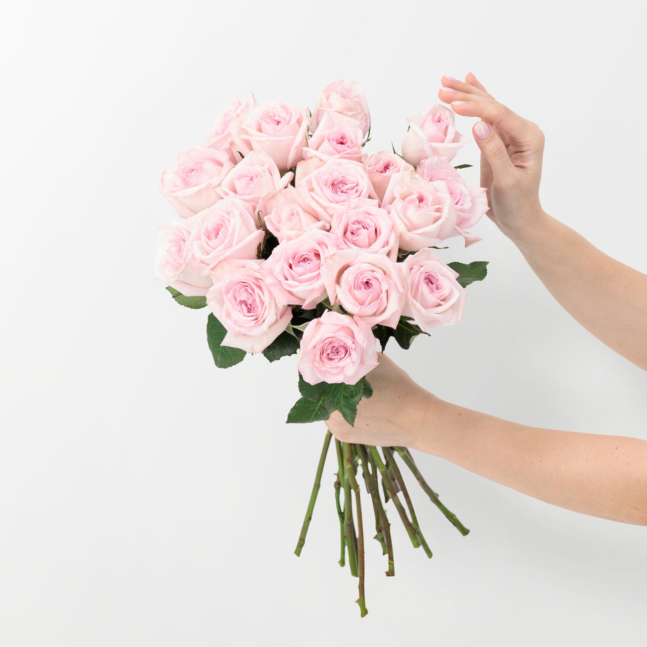 dubairoses