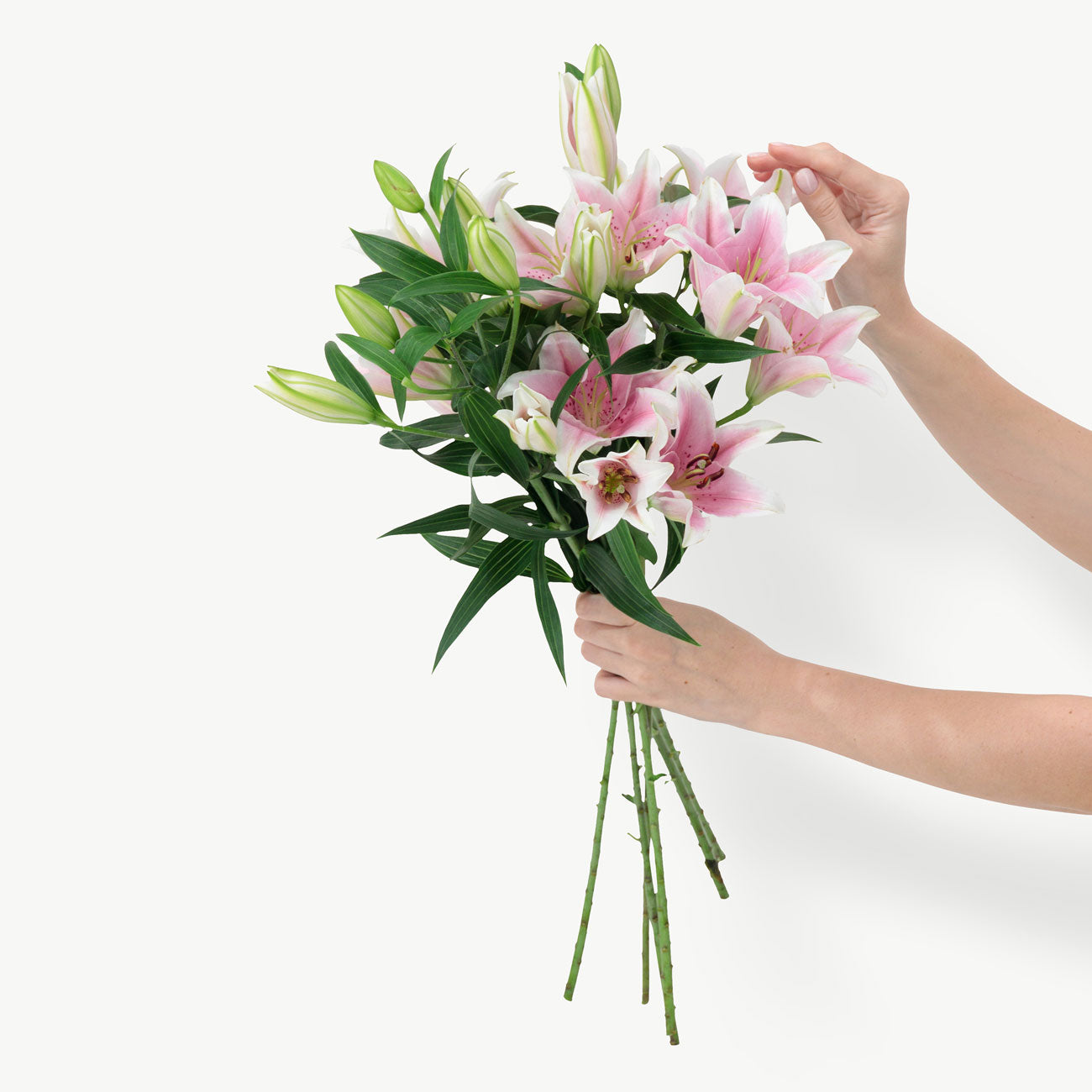 dubairoses