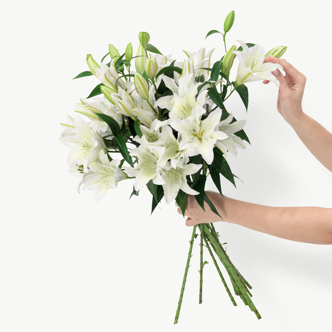 White Lilies