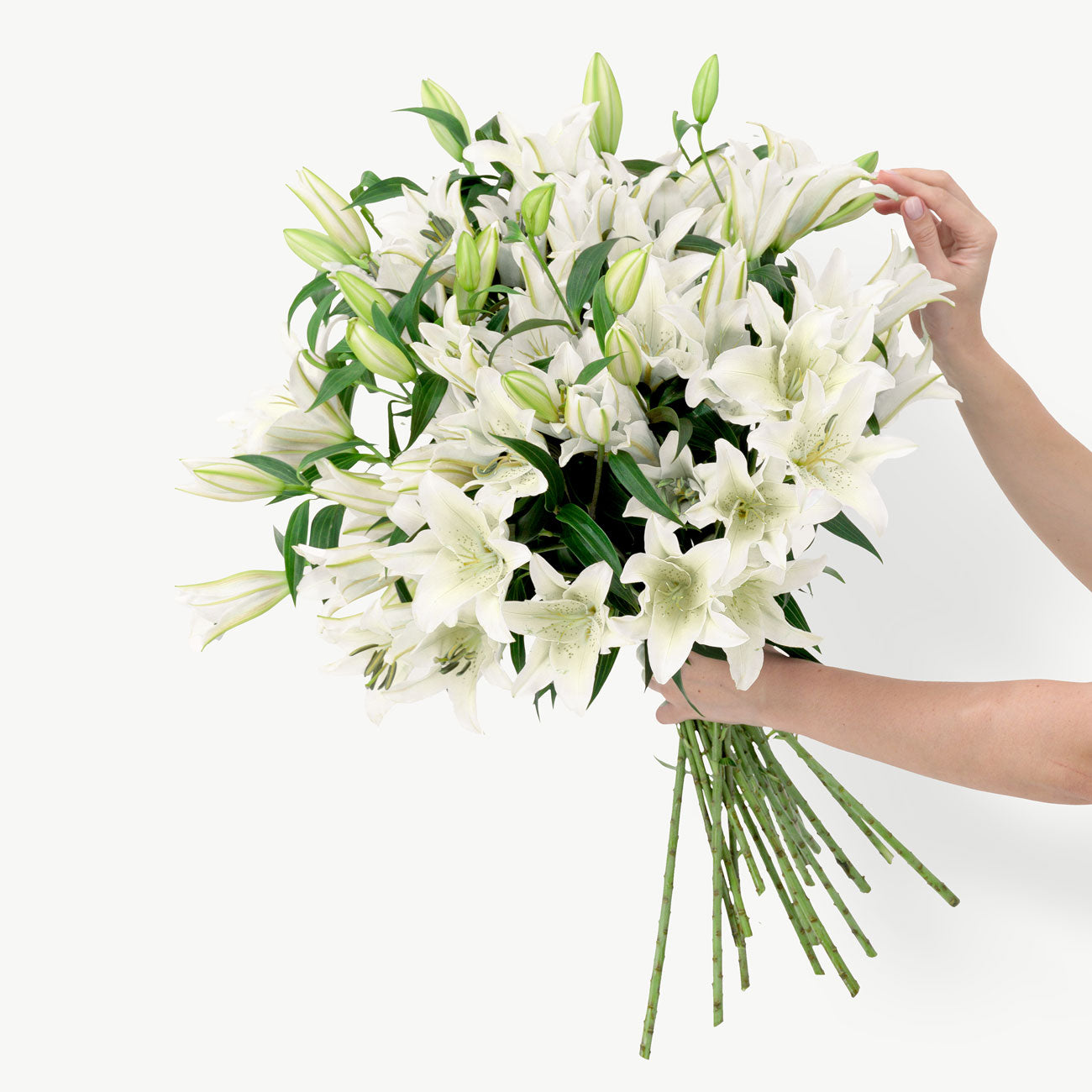 White Lilies