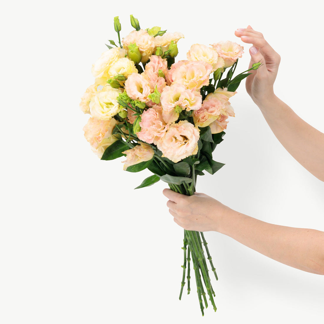 Peach Lisianthus Flowers