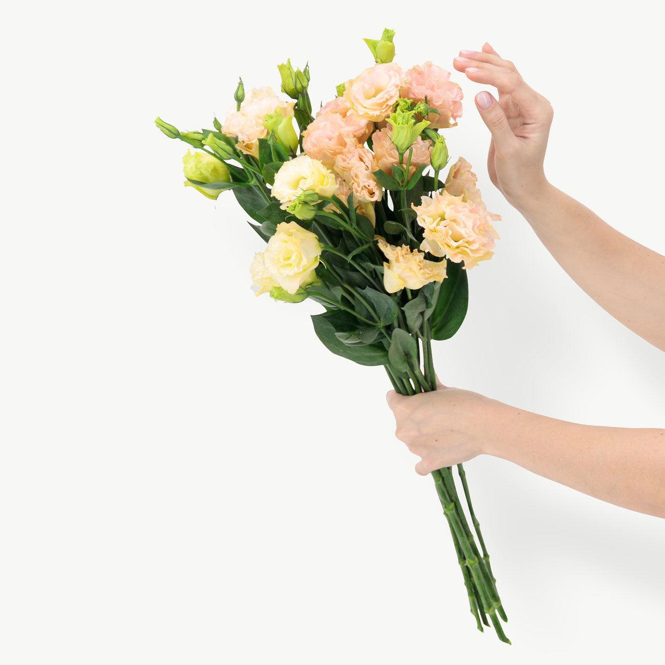 Peach Lisianthus Flowers