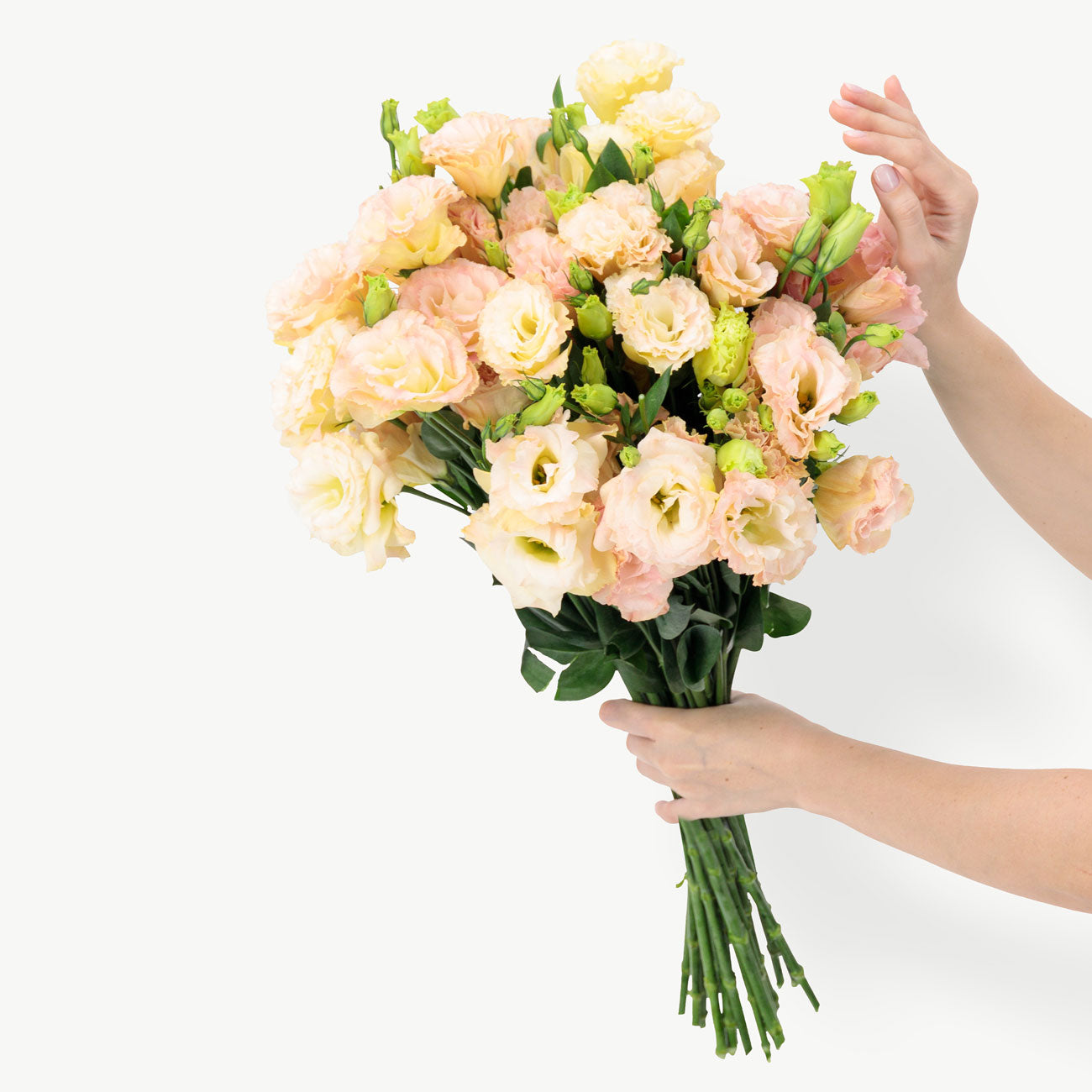 Peach Lisianthus Flowers