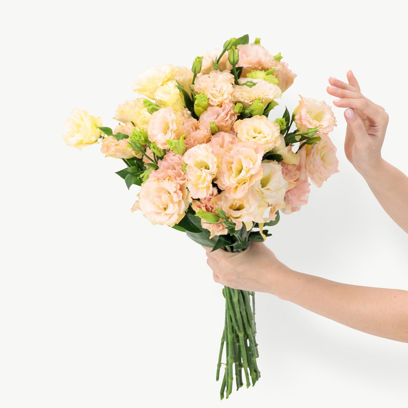 Peach Lisianthus Flowers