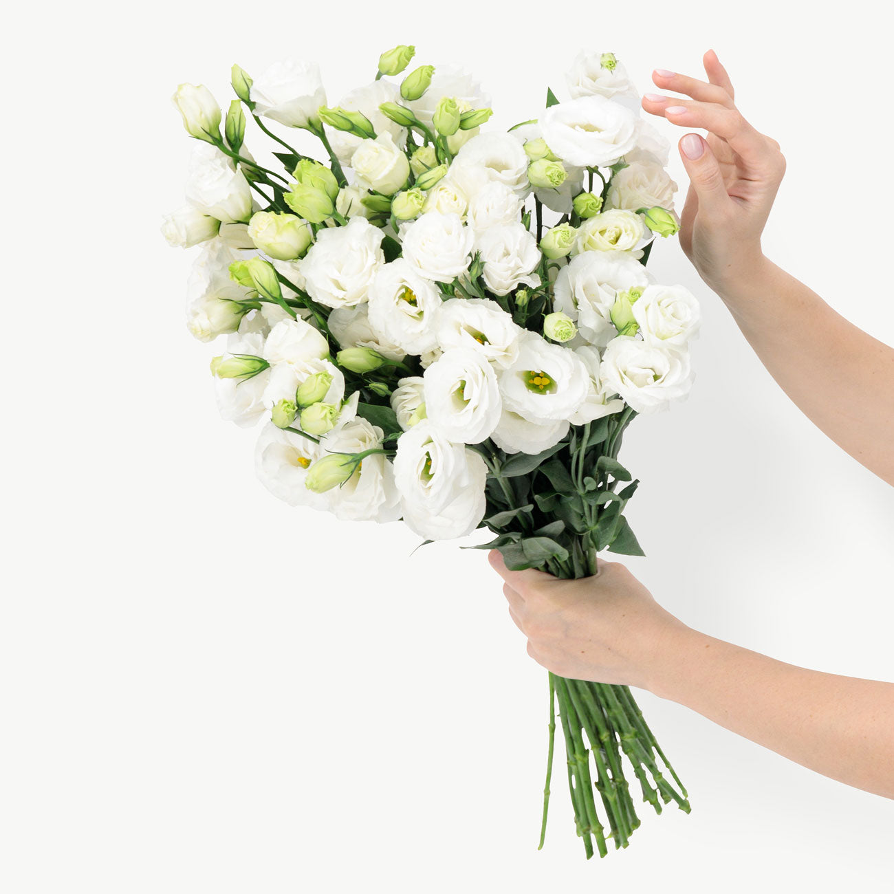 White Lisianthus Flowers