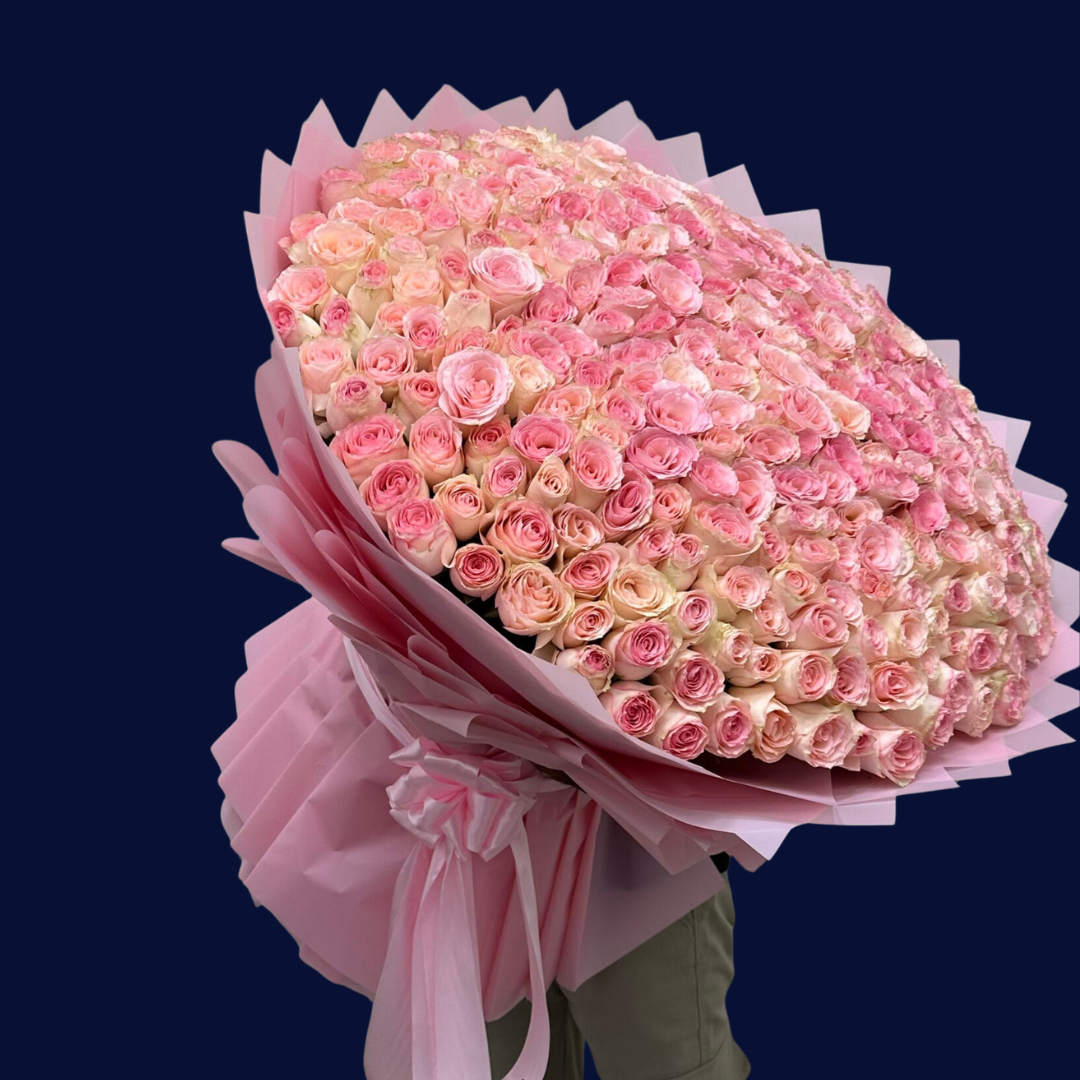 XXL Light Pink Roses Bouquet – DUBAIROSES.AE