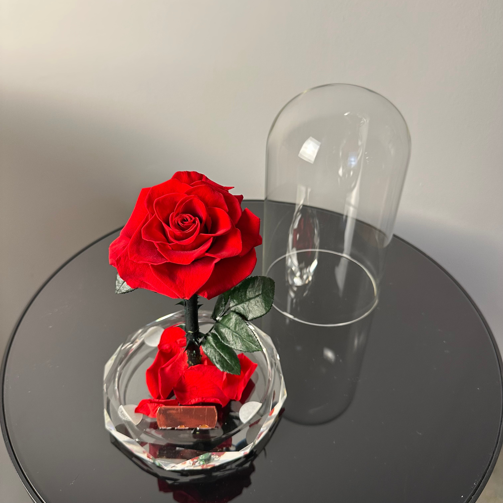 Red Preserved Roses