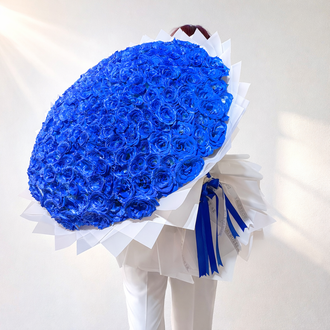 200 dark blue roses