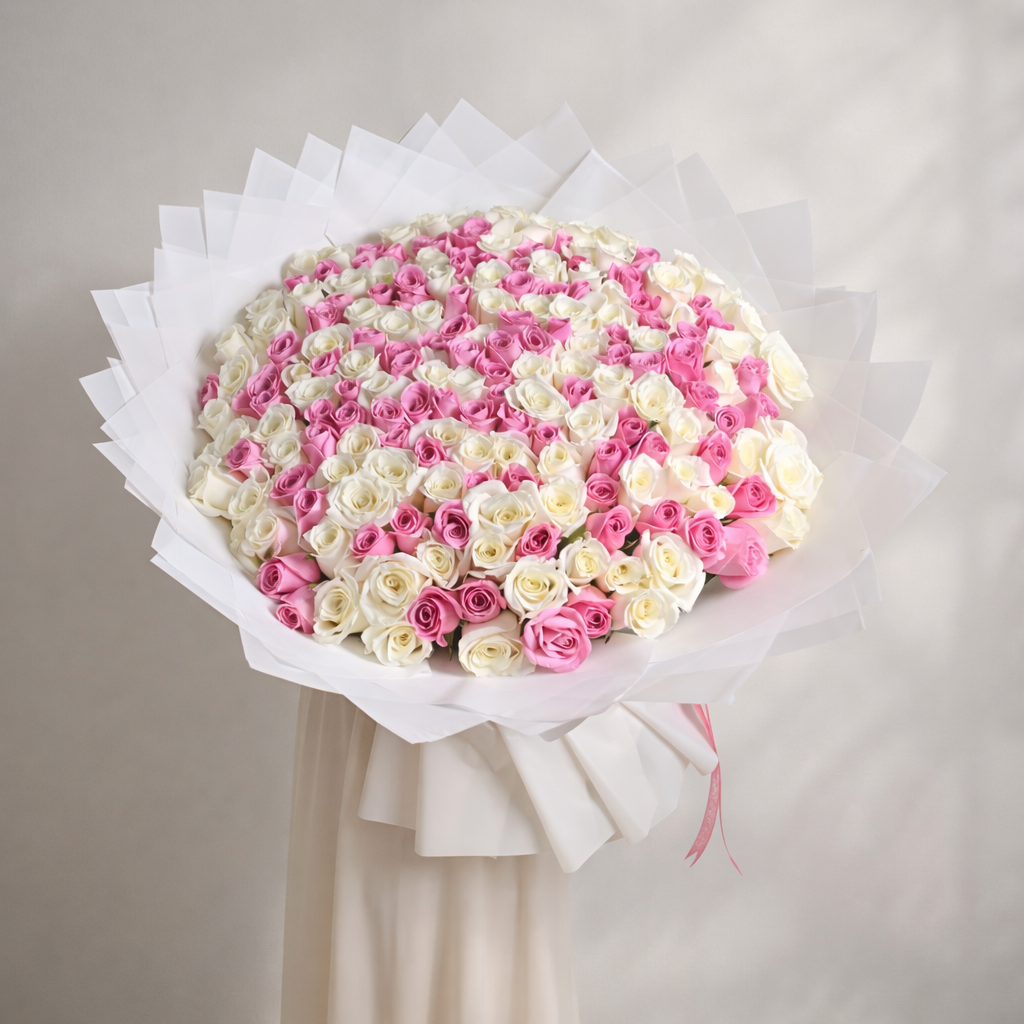 200 white and pink roses bouquet