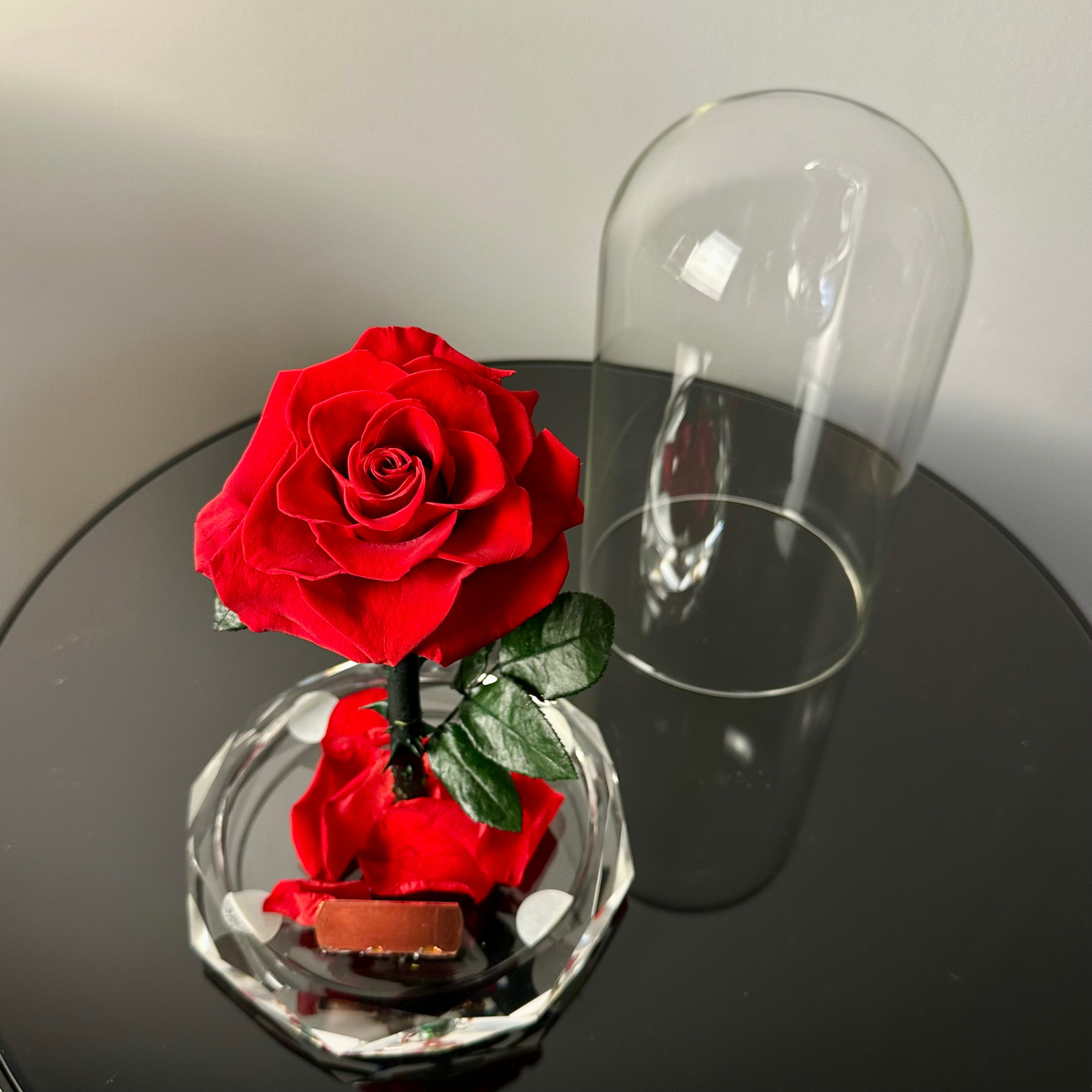 Red Preserved Roses
