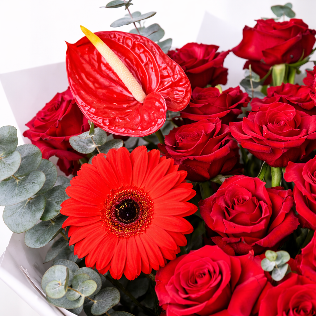 dubairoses