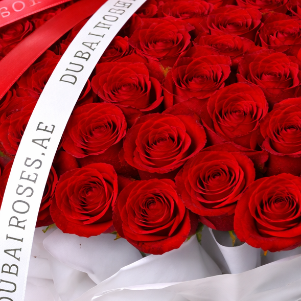 a close up photo of 200 red roses in white round box