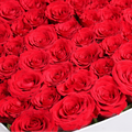 a closeup photo of red roses