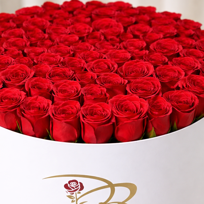 dubairoses