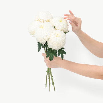 DUBAIROSES.AE