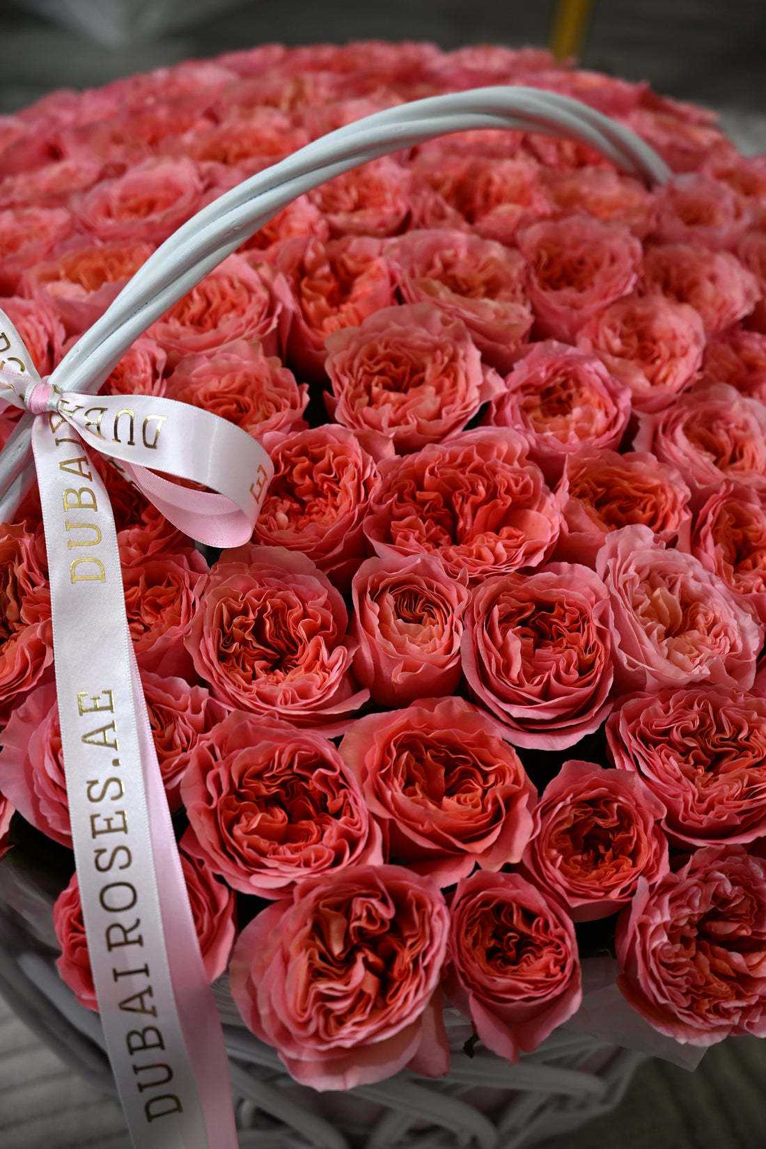 Large bouquet of pink expression roses wrapped with a pink ribbon on a marble surface.