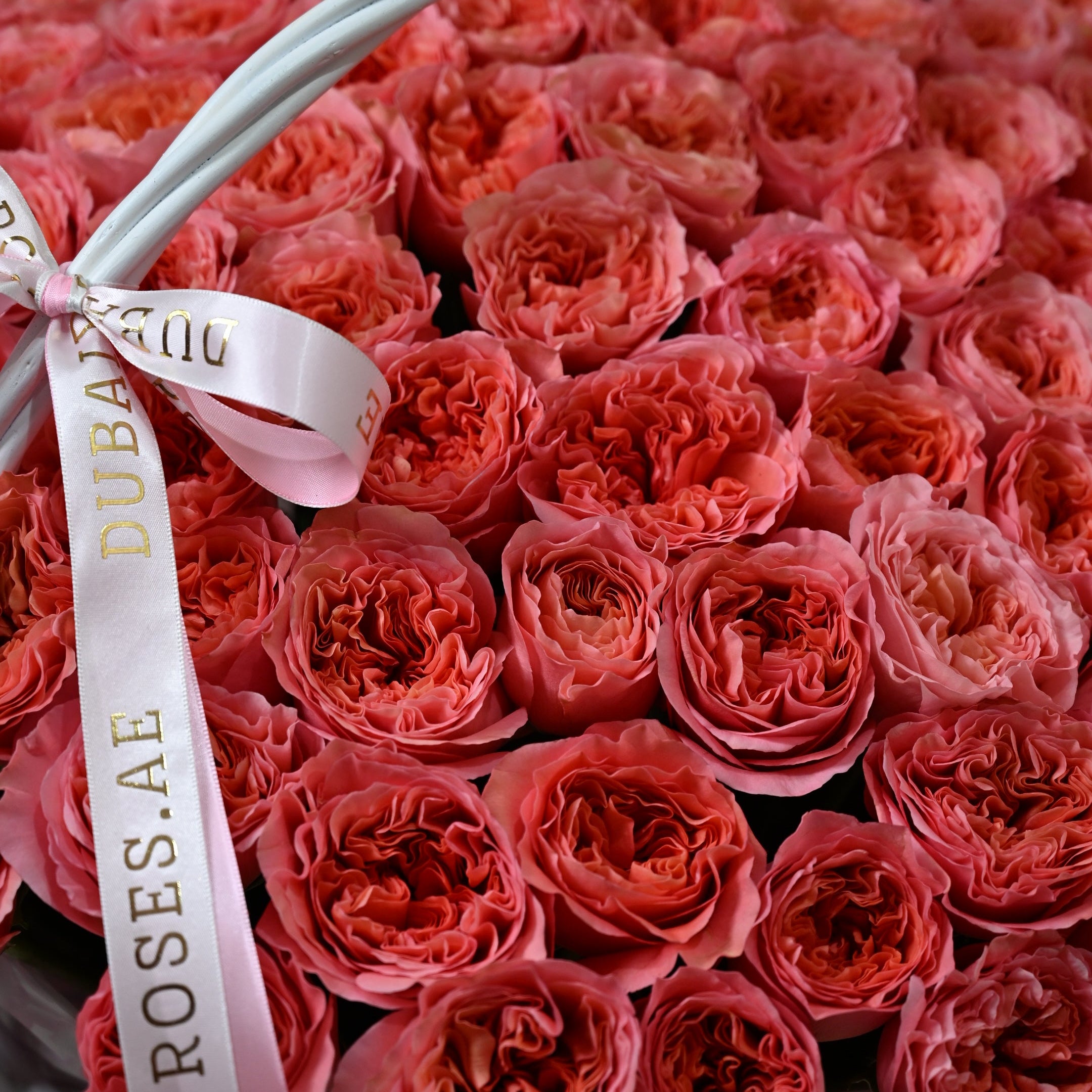 a basket of pink expression roses