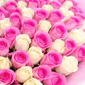 close up photo of 200 white and pink roses bouquet