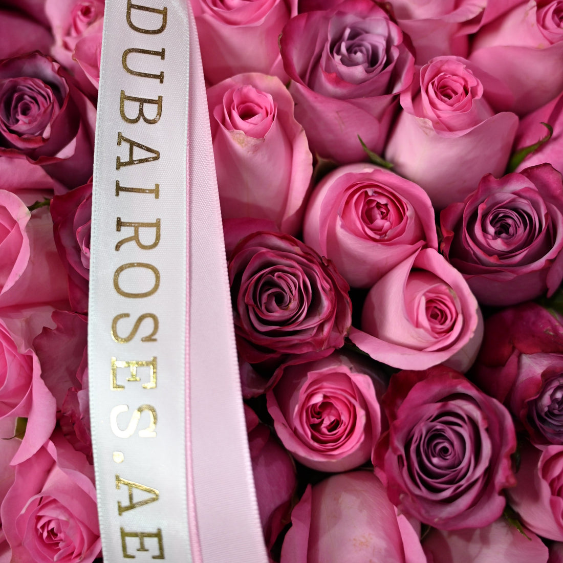 An exceptionally large, oversized bouquet of 500 fresh pink and purple roses wrapped in sculptural white designer paper with long purple and pink branded ribbons.
