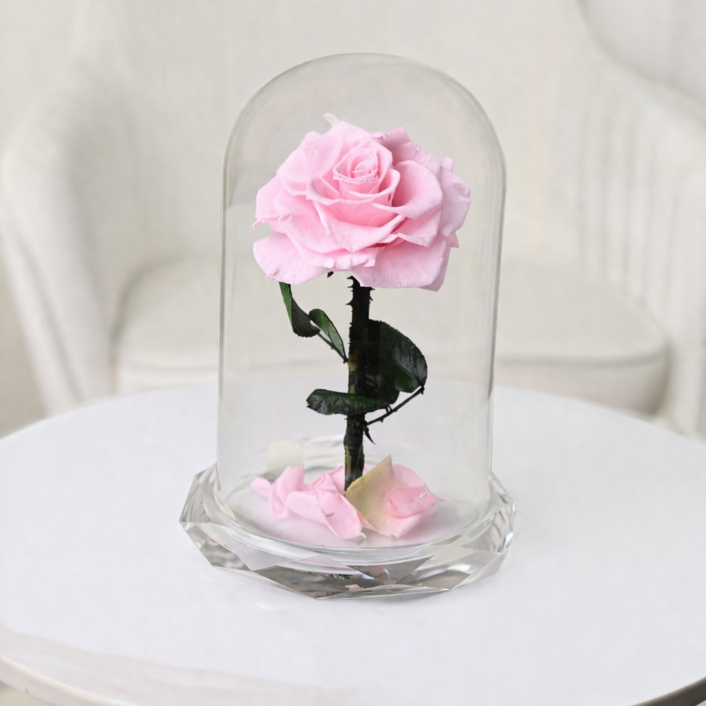 pink preserved roses with glass