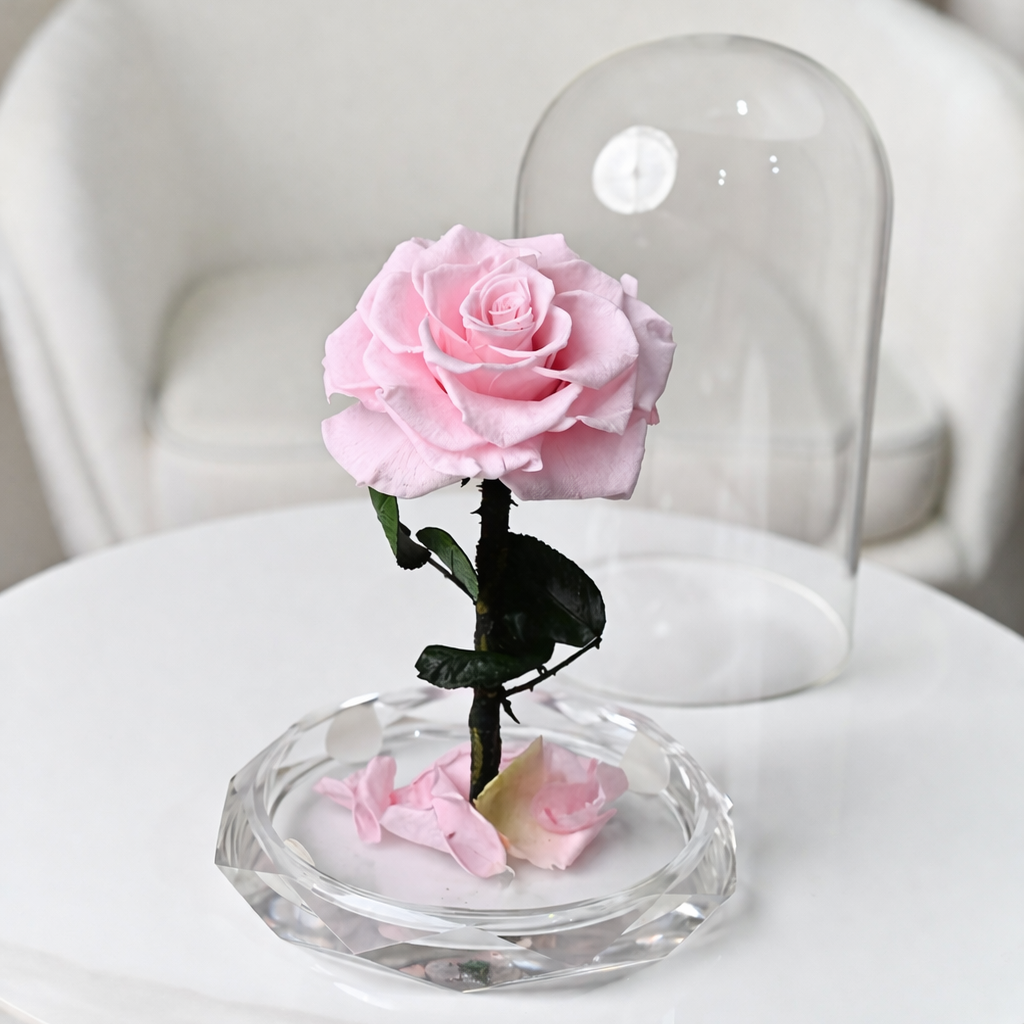 pink preserved roses delivery to dubai