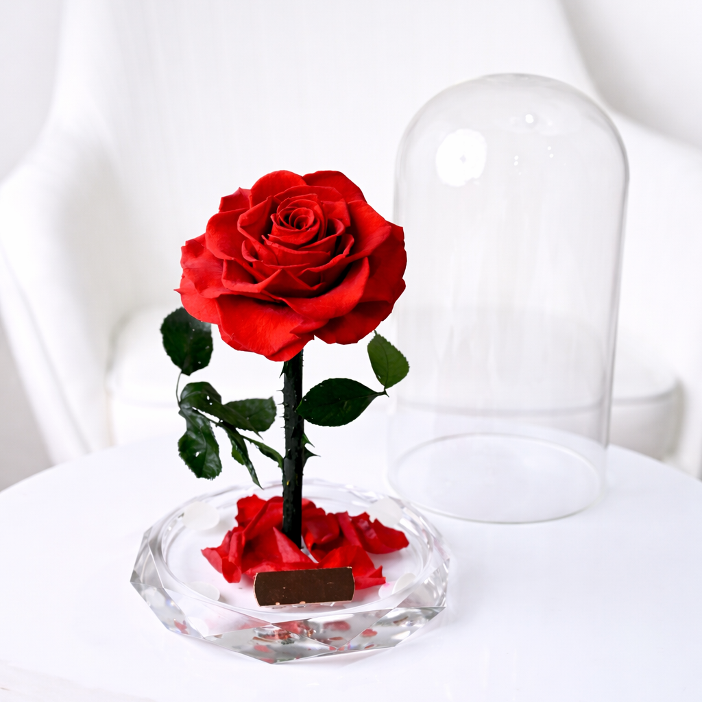 preserved red roses in a white table