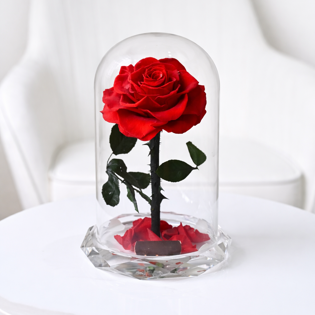 preserved red roses in a white table