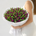 Bouquet of purple tulips held by a person in a white dress on a light gray background