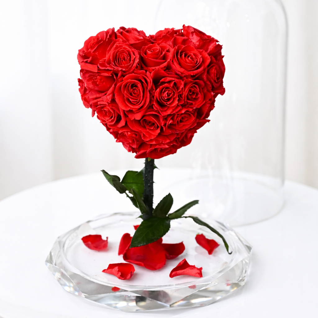 red heart preserved roses