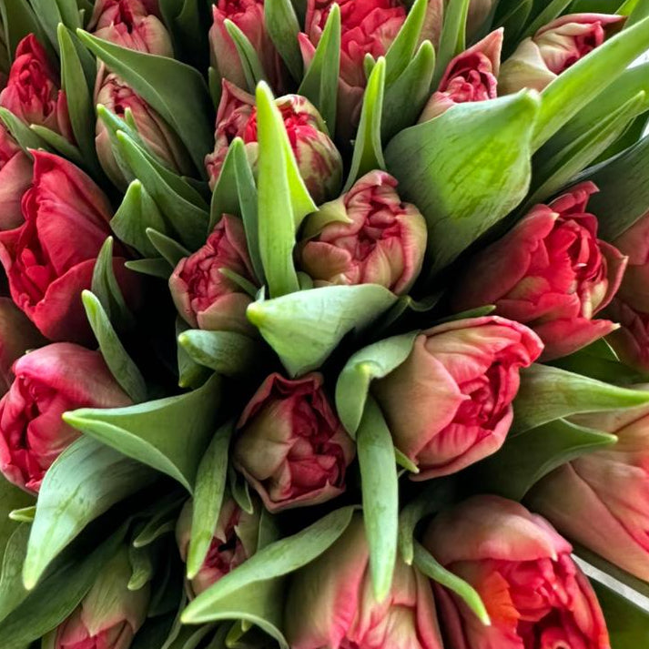 Red Tulips Bouquet