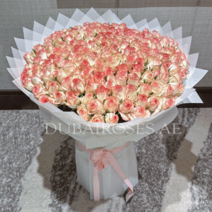Awesome 201 / 200 Double Color Pink Roses