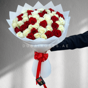 50 red and white roses