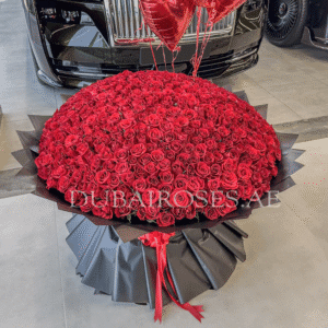 Red Roses Bouquet - XXL