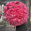 a person with a large bouquet of pink peony flowers