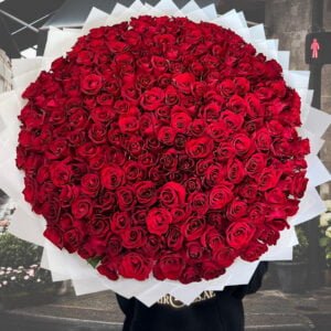 Dazzling 300 Red Roses - dubairoses.ae