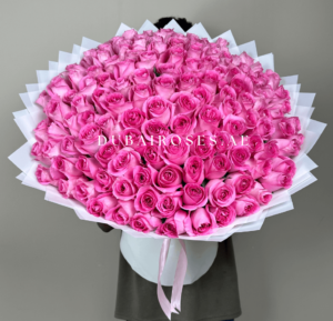 100 pink roses