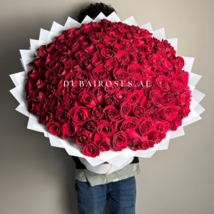 150 red roses 4