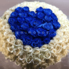 blue roses in heart shape top view