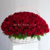 300 red roses in basket